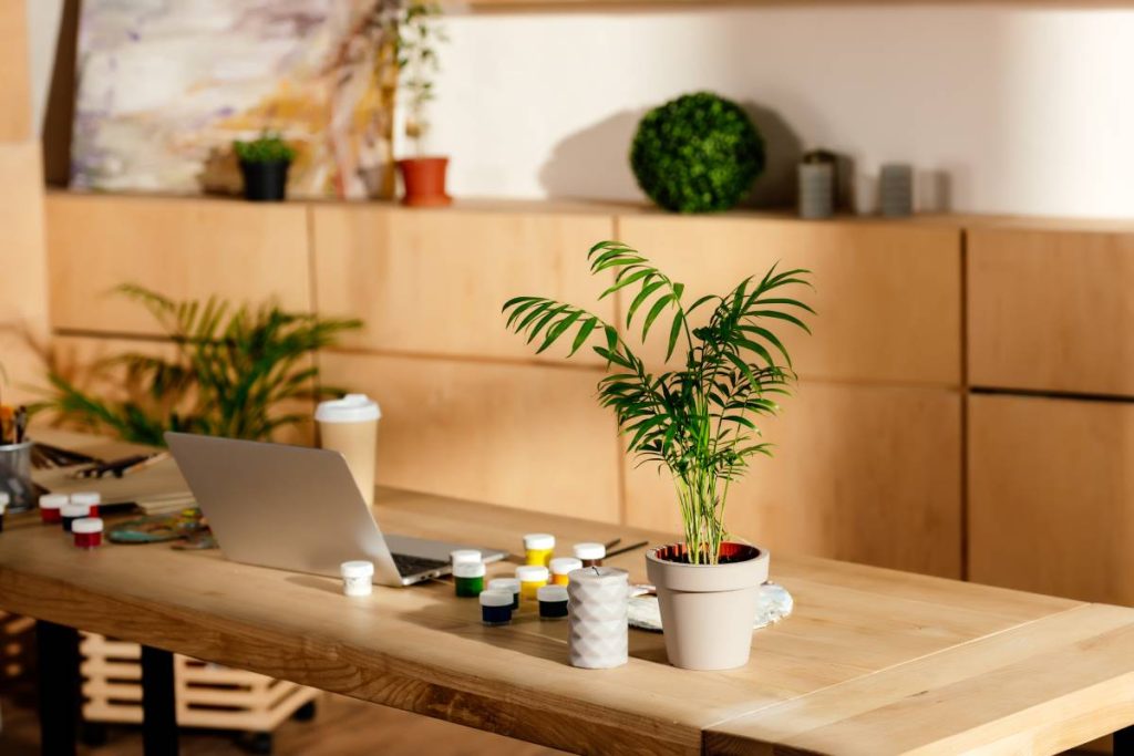 interior of artist studio with painting supplies, laptop and potted plant on wooden table