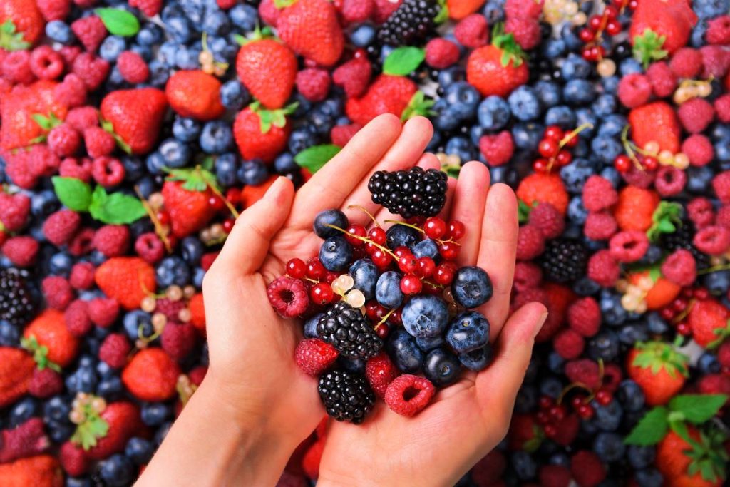 Woman hands holding organic fresh berries against the background of strawberry, blueberry, blackberries, currant, mint leaves. Top view. Summer food. Vegan, vegetarian and clean eating concept